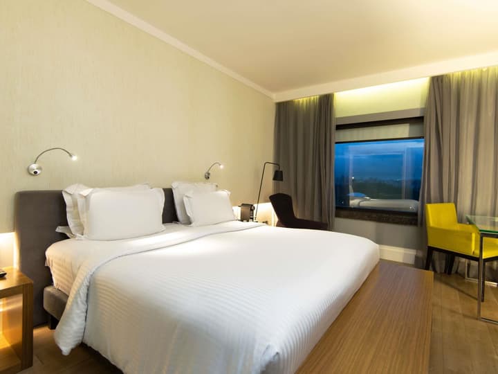 Pullman Sao Paulo Ibirapuera