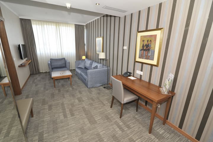 Holiday Inn Skopje by IHG