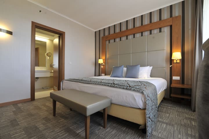Holiday Inn Skopje by IHG