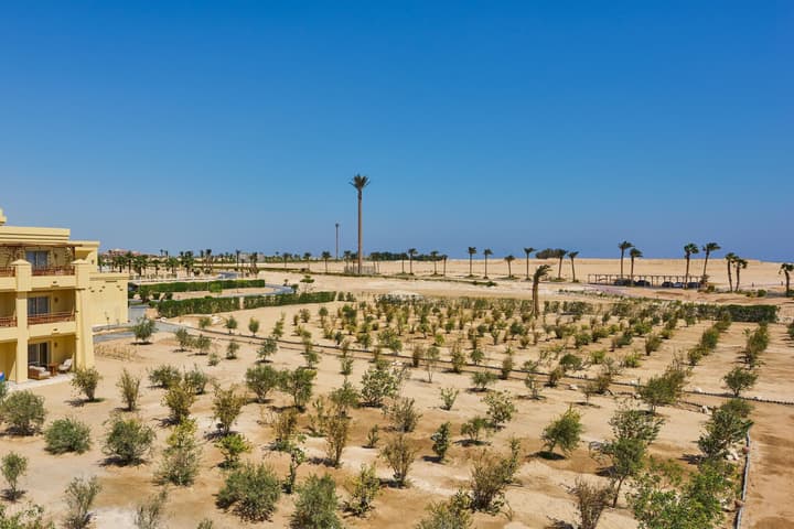 Sheraton Soma Bay Resort