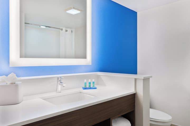 Holiday Inn Express & Suites Nearest Universal Orlando by IHG
