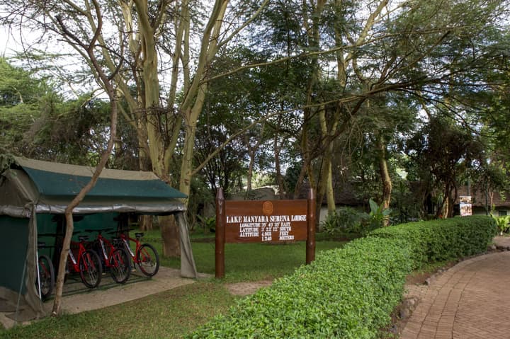 Lake Manyara Serena Safari