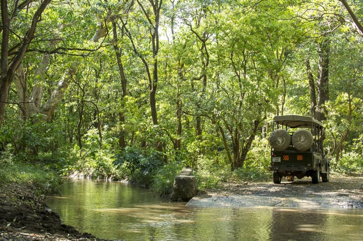 Lake Manyara Serena Safari
