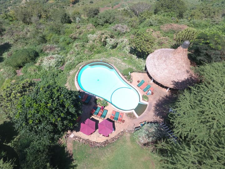 Lake Manyara Serena Safari