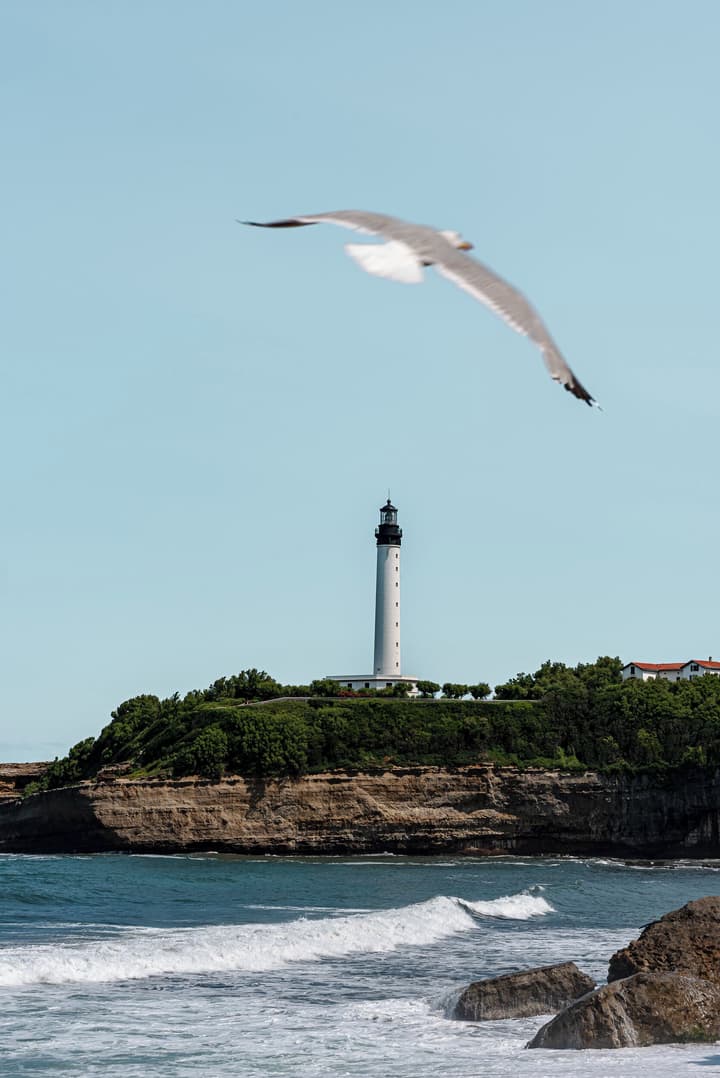 Regina Experimental Biarritz