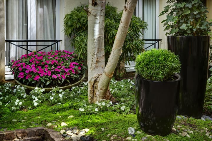 Le patio Bastille