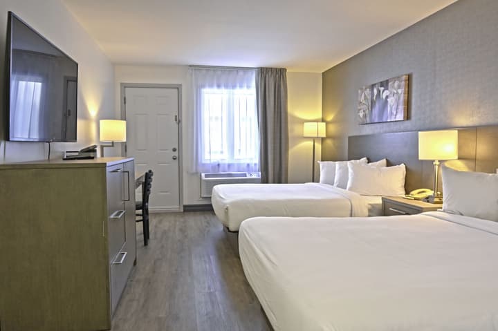 Repotel Levis