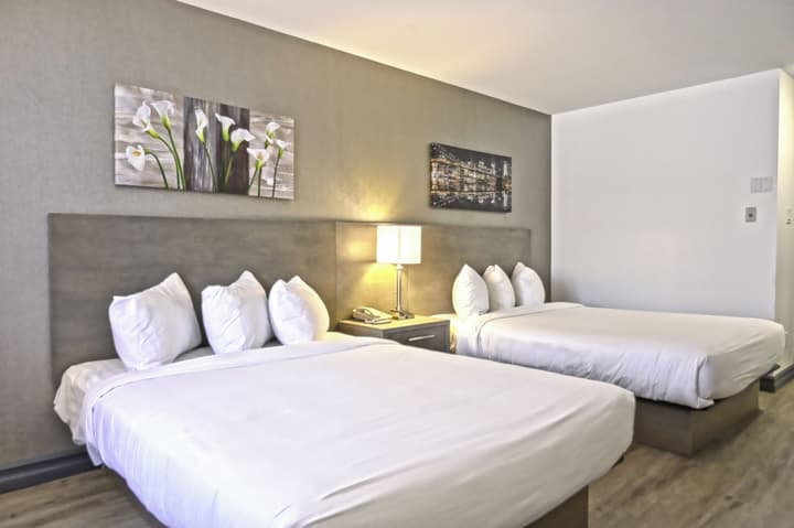 Repotel Levis