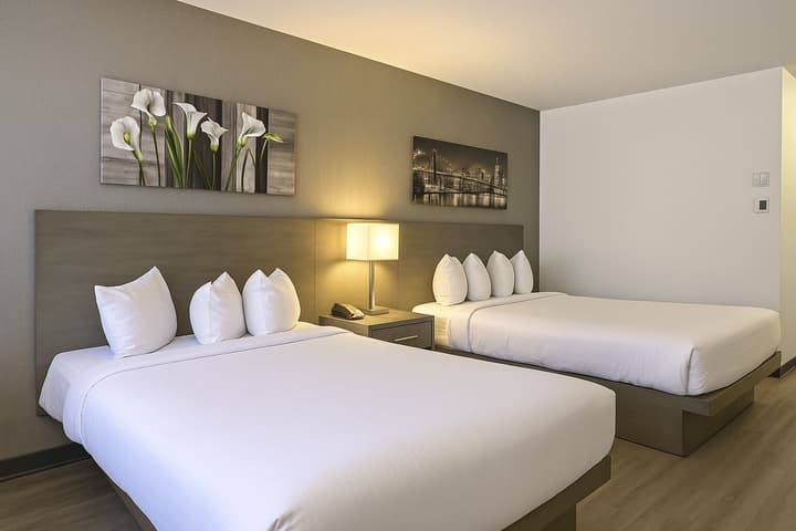 Repotel Levis