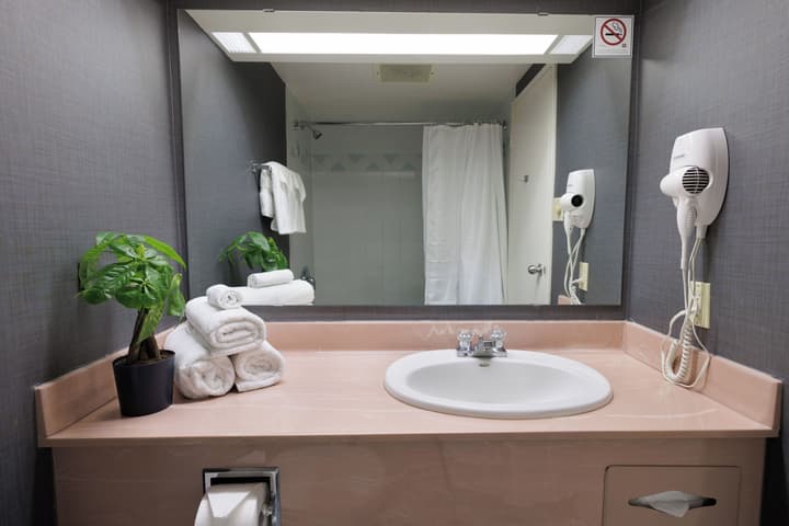 Cartier Place Suite Hotel