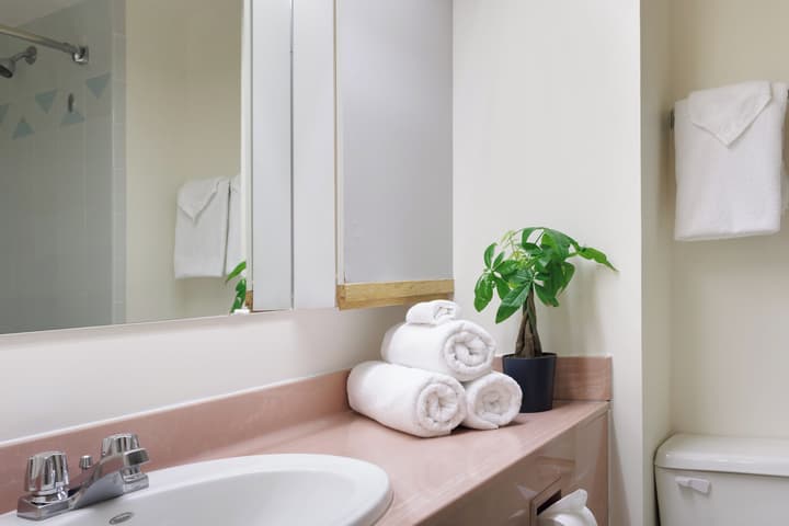 Cartier Place Suite Hotel
