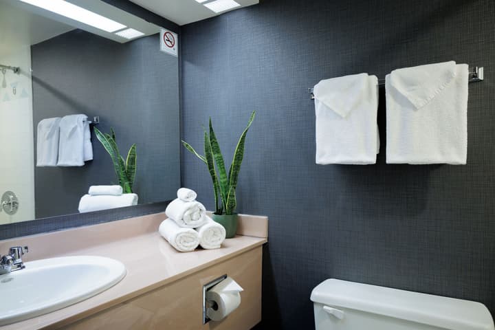 Cartier Place Suite Hotel