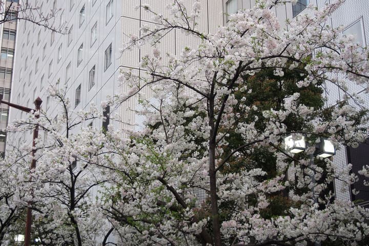 New Otani Inn Tokyo