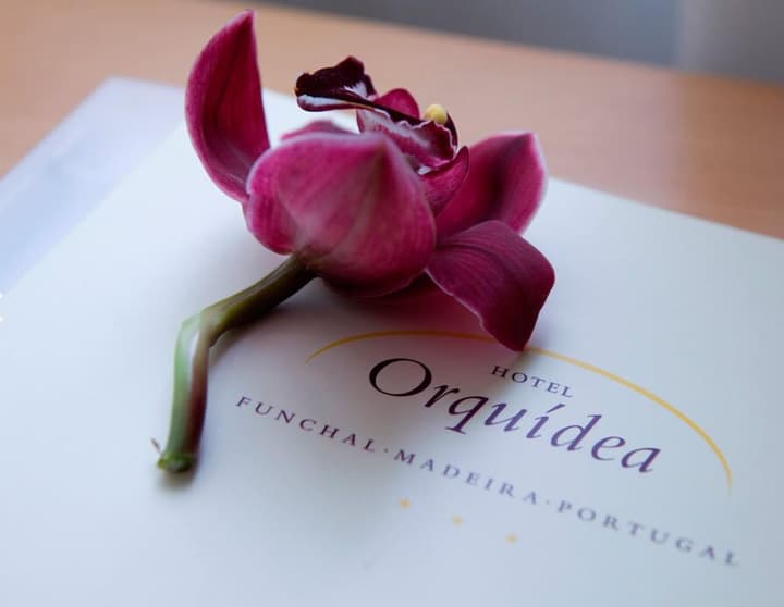 Hotel Orquidea