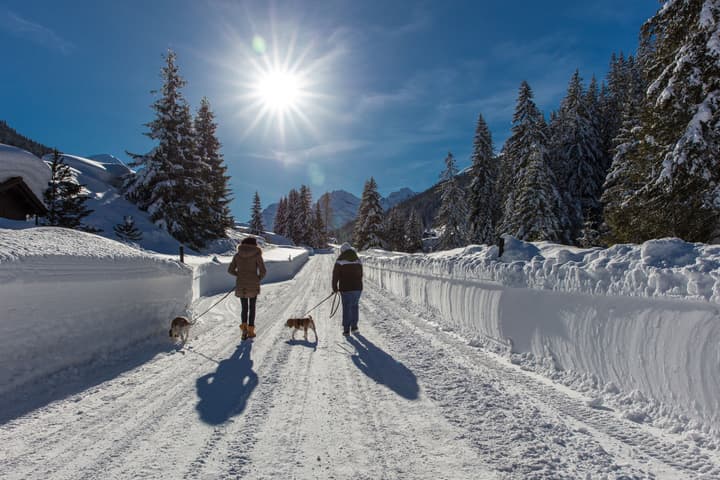 Grischa - DAS Hotel Davos