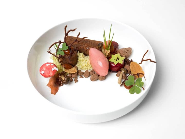 Grischa - DAS Hotel Davos