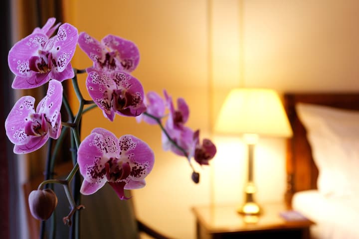 Hotel Le Plaza Brussels