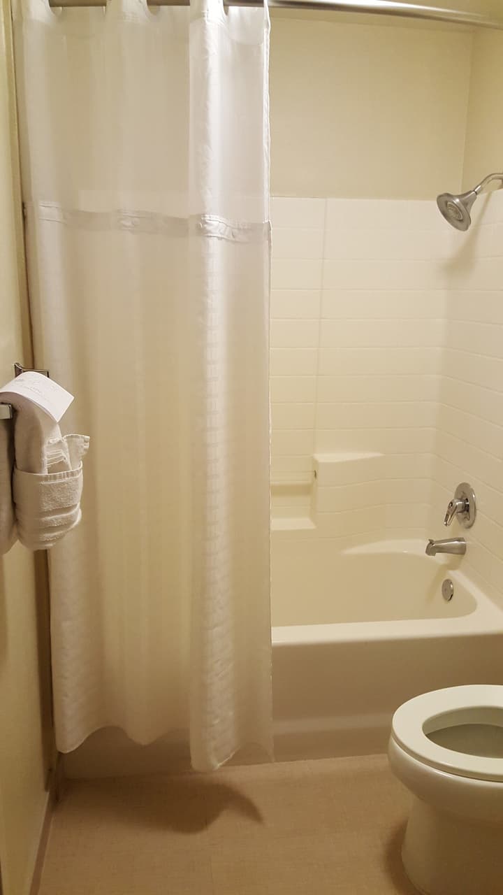Comfort Inn & Suites Sequoia/Kings Canyon