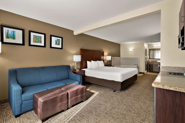 Comfort Inn & Suites Sequoia/Kings Canyon