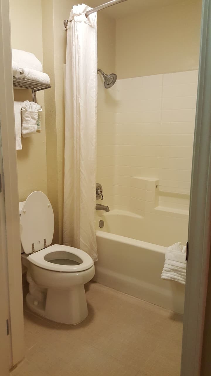 Comfort Inn & Suites Sequoia/Kings Canyon