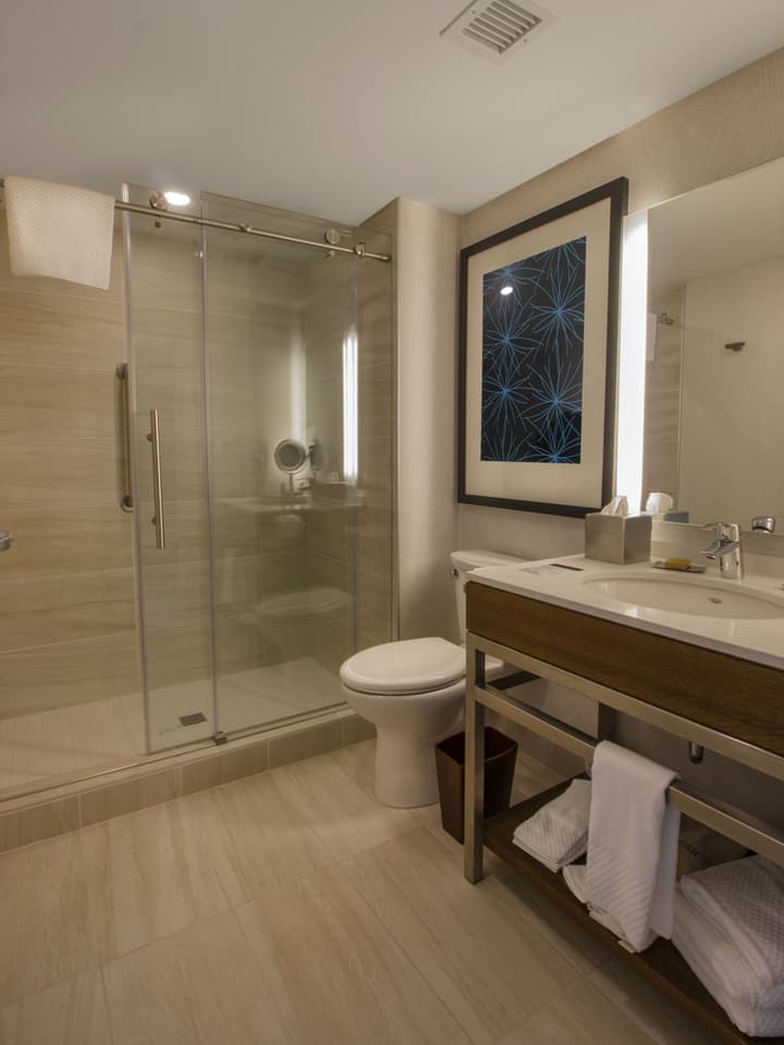 DoubleTree by Hilton Hotel Niagara Falls New York