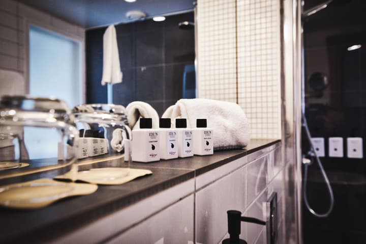 Hotel Birger Jarl