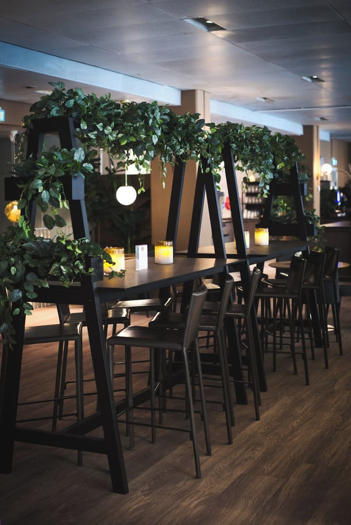 Hotel Birger Jarl