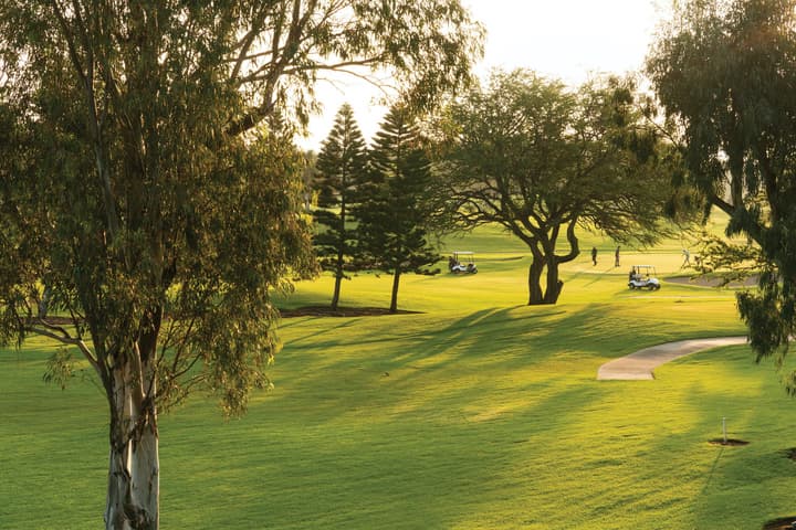 Paniolo Greens At Waikoloa