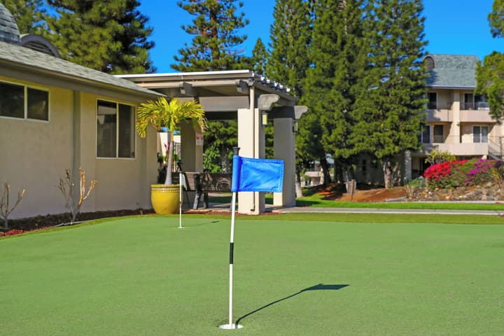 Paniolo Greens At Waikoloa