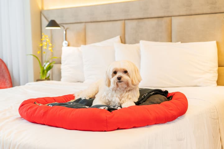 Mercure Sao Paulo Jardins