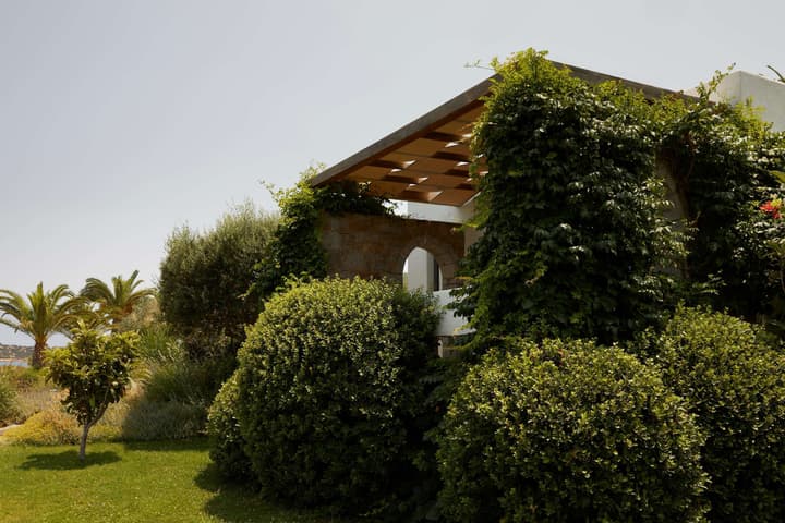 Minos Palace Resort - Adults Only