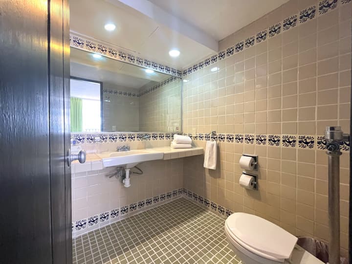 Delfin Beachfront Resort – Downtown Puerto Vallarta Optional All-Inclusive