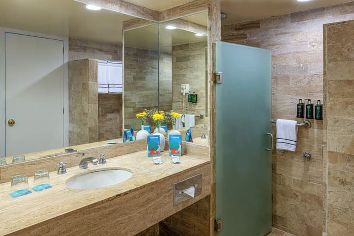 Melia Puerto Vallarta - All inclusive