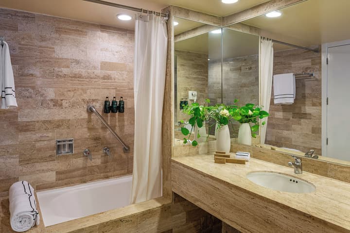 Melia Puerto Vallarta - All inclusive