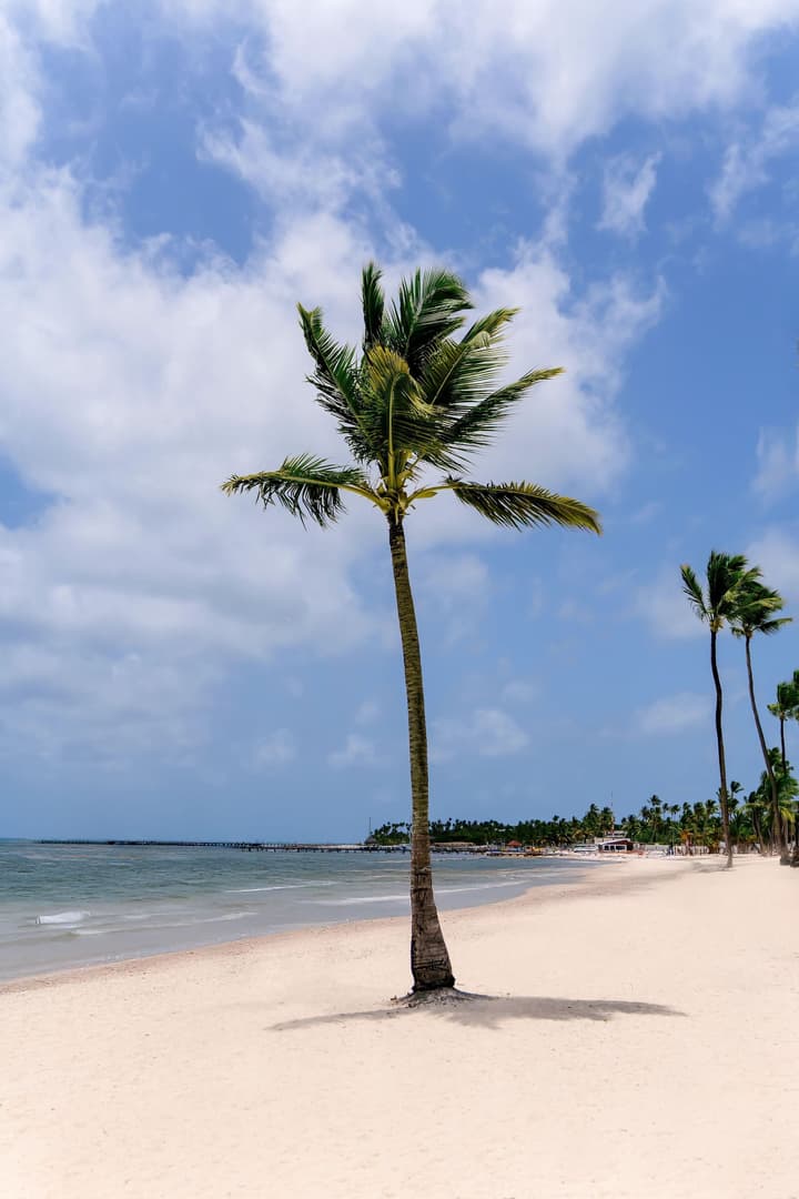 Hyatt Vivid Punta Cana Adults Only