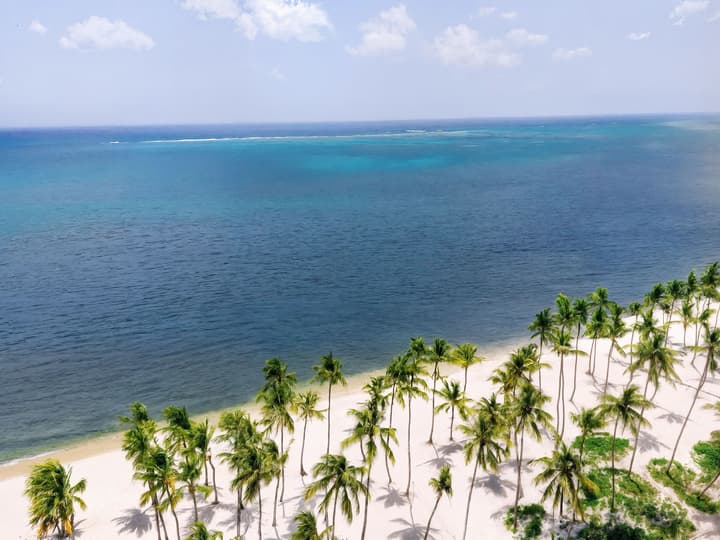 Hyatt Vivid Punta Cana Adults Only
