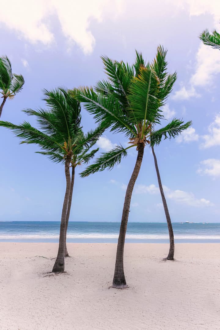 Hyatt Vivid Punta Cana Adults Only
