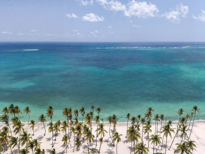 Hyatt Vivid Punta Cana Adults Only