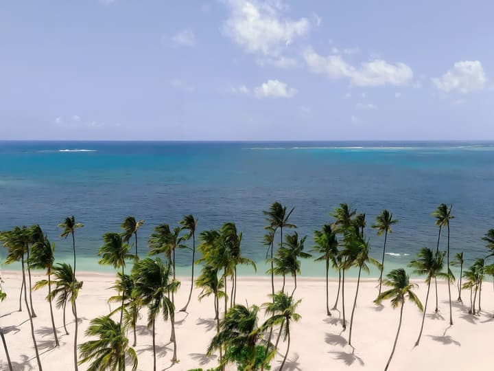 Hyatt Vivid Punta Cana Adults Only
