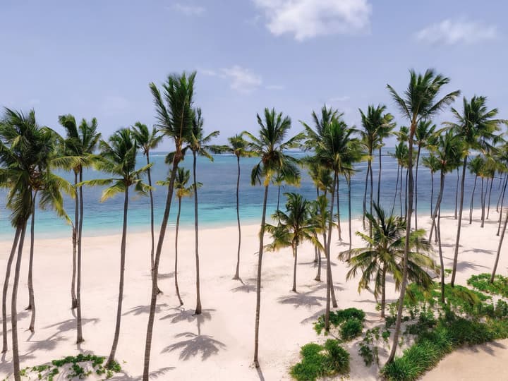 Hyatt Vivid Punta Cana Adults Only