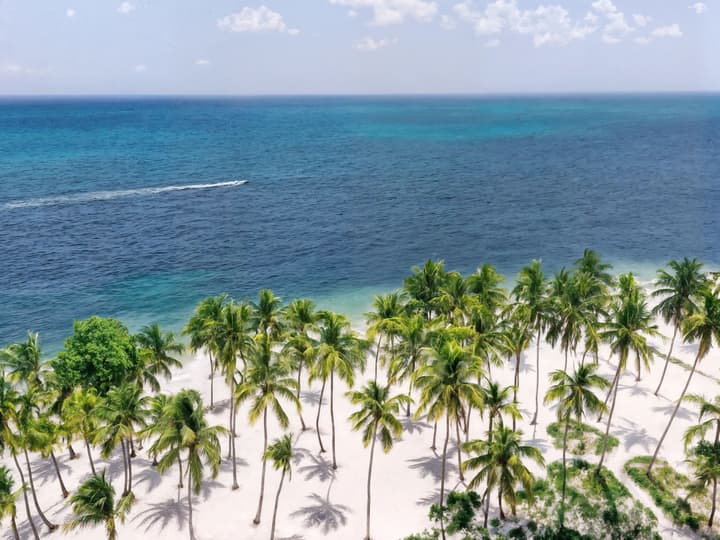 Hyatt Vivid Punta Cana Adults Only