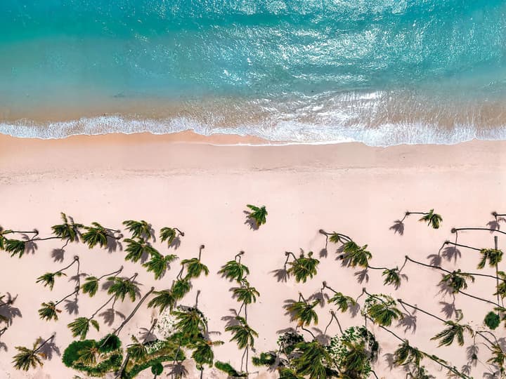 Hyatt Vivid Punta Cana Adults Only