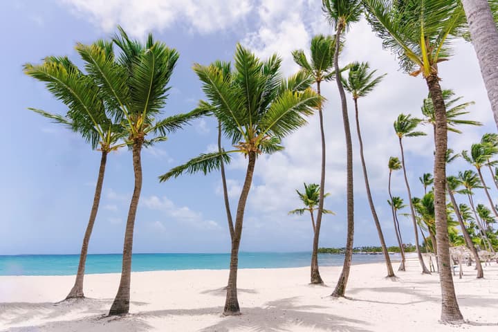Hyatt Vivid Punta Cana Adults Only