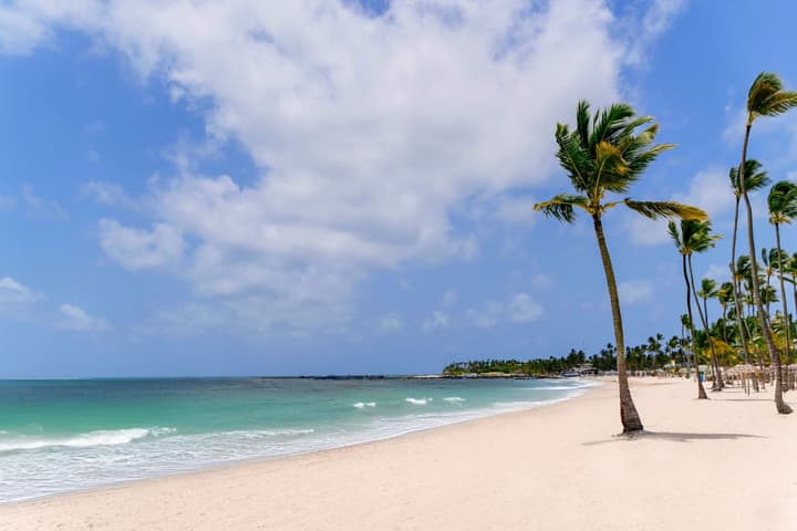 Hyatt Vivid Punta Cana Adults Only