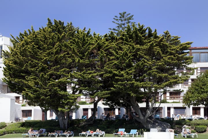 Hotel Do Mar