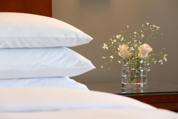 Park Hyatt Mendoza