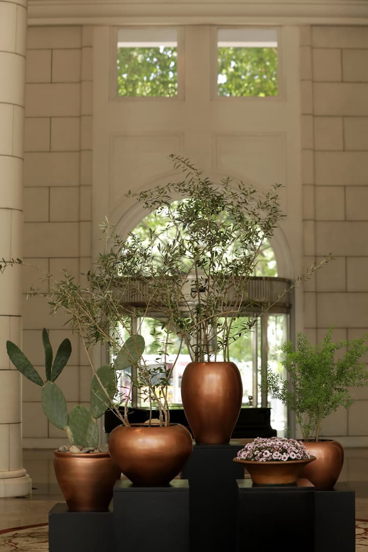 Park Hyatt Mendoza