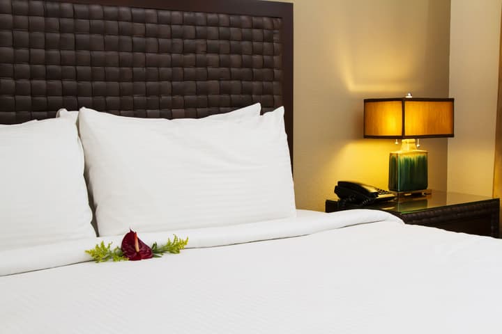 Rincón del Valle Hotel & Suites