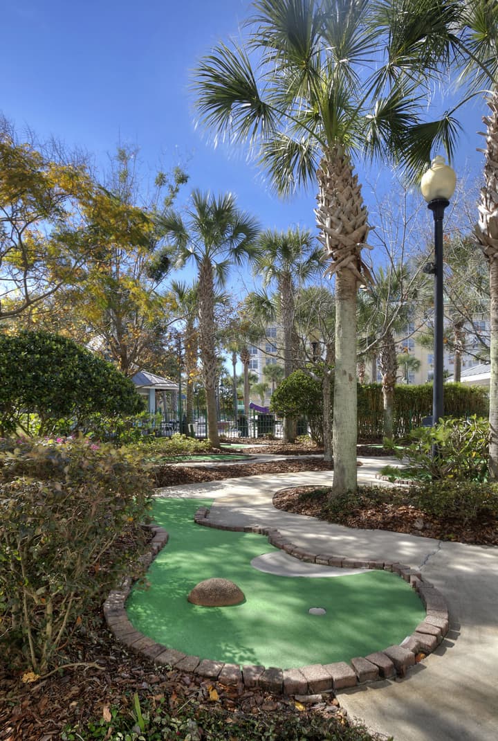 Holiday Inn Express & Suites S Lake Buena Vista by IHG