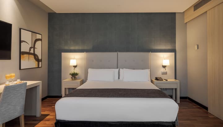 Hotel ILUNION Pio XII